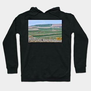 A patchwork of fields on the Mull of Galloway, Scotland Hoodie